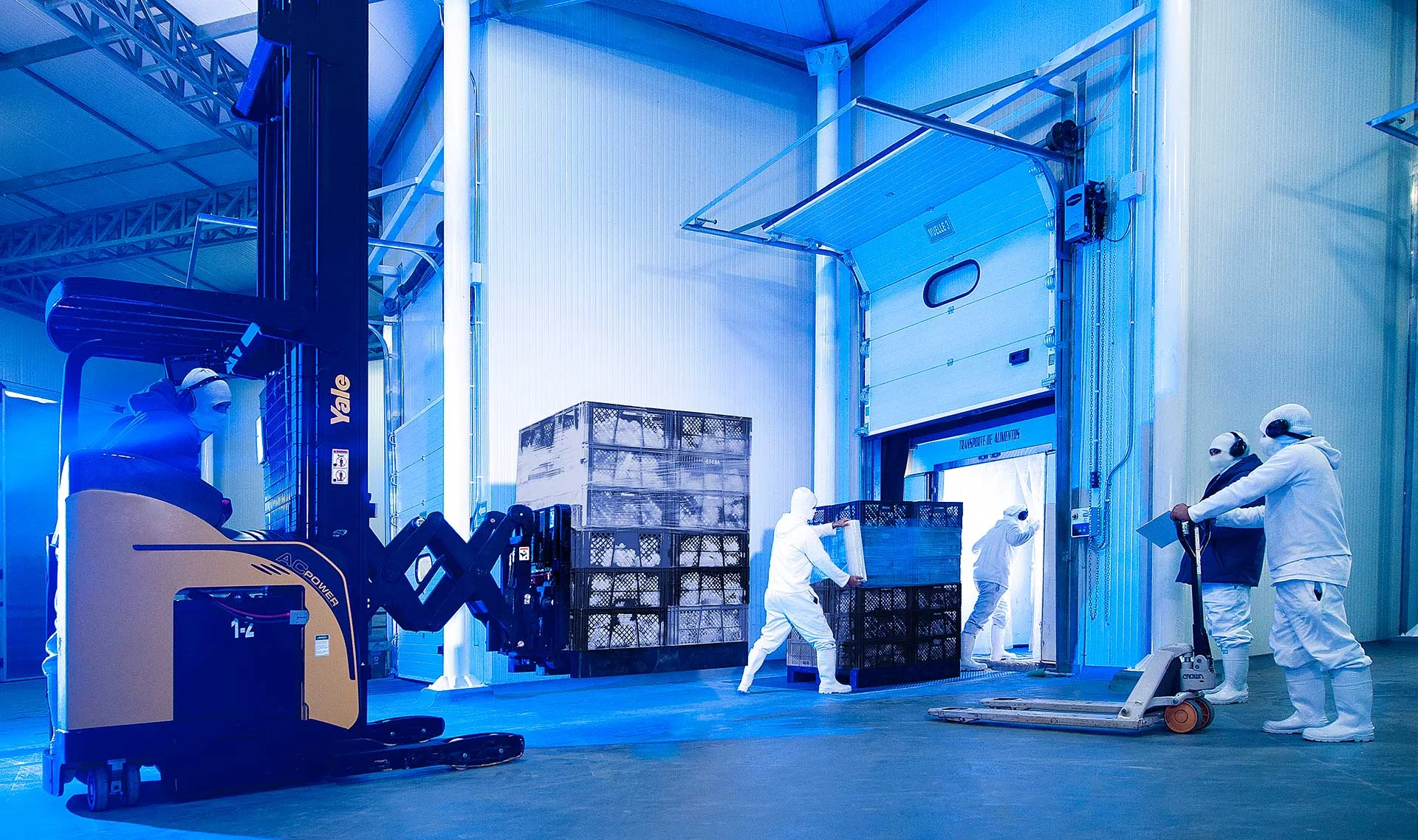 lorem ipsum dolor sit